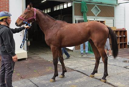 �������ũ ����