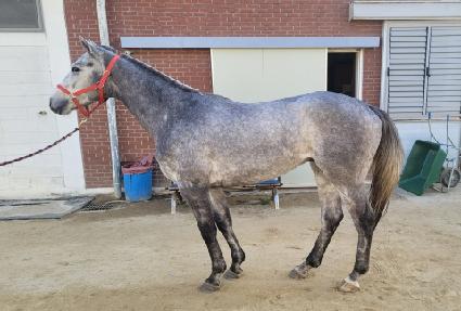 ���������� ����