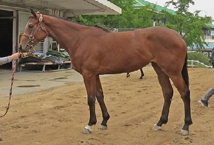 ���� ����