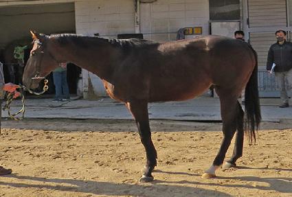 ����ġ ����