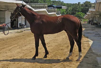 �̸�����Ʈ ����