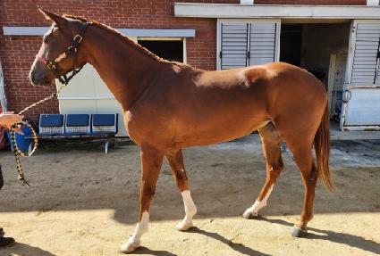 �ູ���� ����