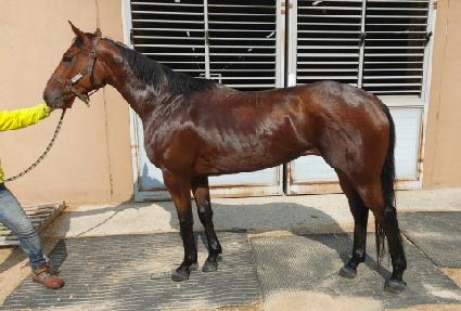 ����ָ��� ����