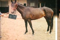 ���� (WOL BAEK) ����