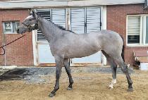 ������Ÿ�� (SUCCESS TIME) ����