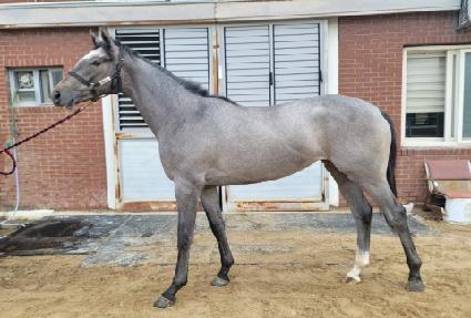 ������Ÿ�� ����