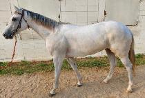 ��ī�̸�� (SKY MORNING) ����