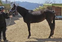 Ȳ���ְ� (HWANGWOO CHOEGANG) ����