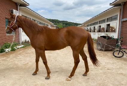 Ʈ����� ����