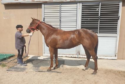 ���ν÷��� ����