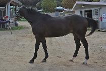 Ǫ������ (FUERTO) ����