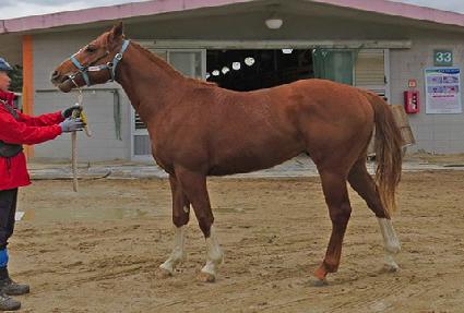 ������ŷ�� ����