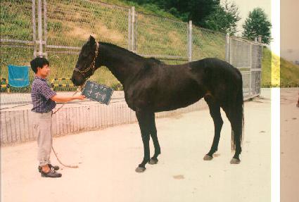 ����� ����