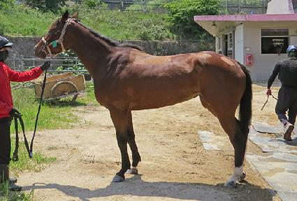 ���Ͽ��� ����