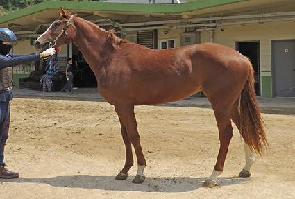 ũ���������� ����