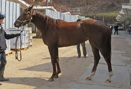 �ູ�ѹ��� ����