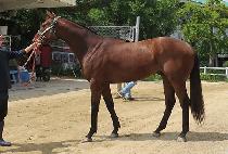 �����ƿ� (MAGIC HOUR) ����