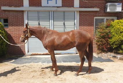 û�������� ����