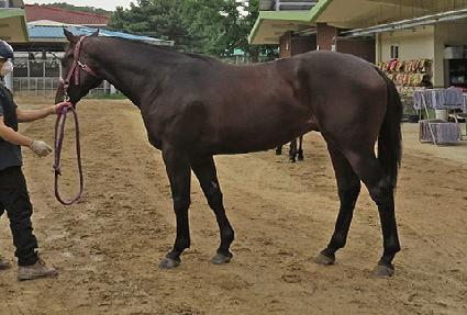 ���ǿ��� ����