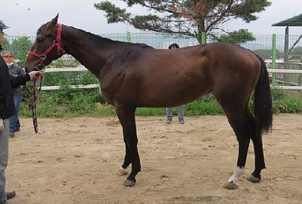 �׹������ ����