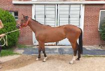 ����Ʈ���� (BEST MAGIC) ����