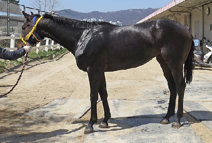 �������̵� ����