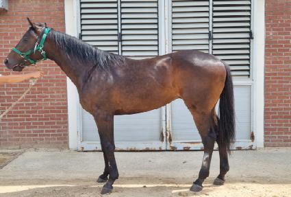 �ÿ���� ����