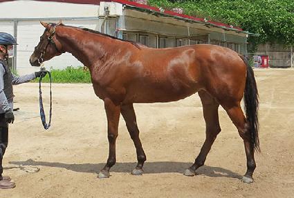 ����ô� ����