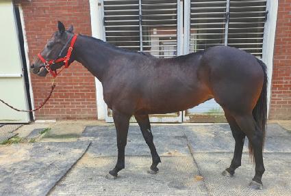 ��ð� ����