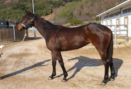 ��ġ�� ����