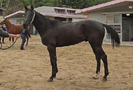 �����ǴϽ� ����