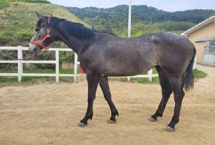 ������� ����