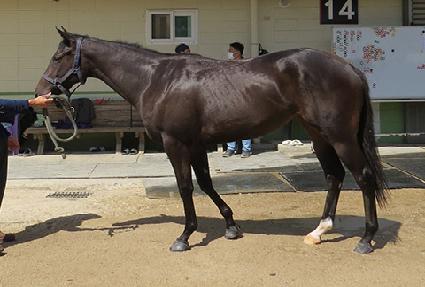 ���ν���� ����