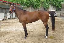 ������� (RAON JUMP) ����