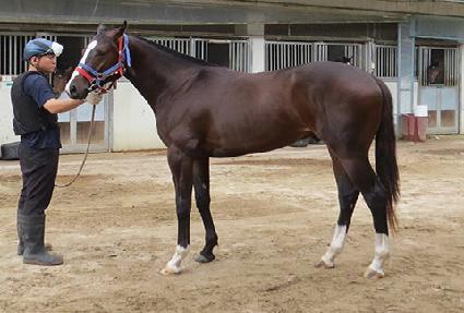 ��¾Ƹ޸�ĭ ����