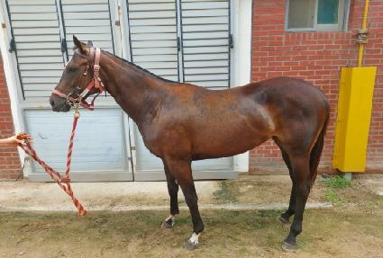 ��´������ ����