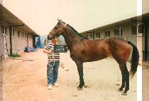 Ʈ����ī (TROICA) ����