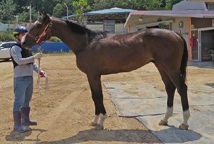 ����Ǯ�ε� ����