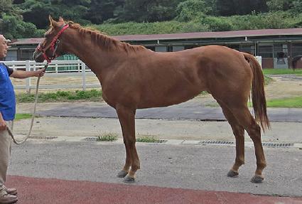 �ٷ�è�Ǿ� ����