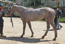 ���������� (YEONGWON FIGHTER) ����