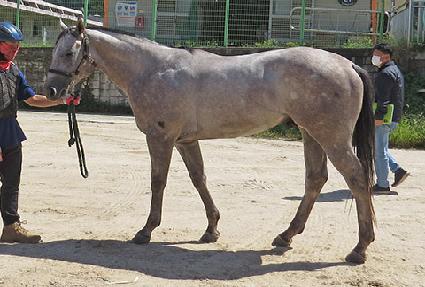 ���������� ����