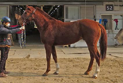 ������ ����