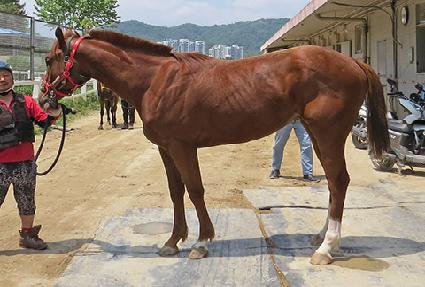 �����˵� ����