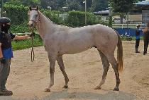 ����è�Ǿ� (EUNPA CHAMPION) ����