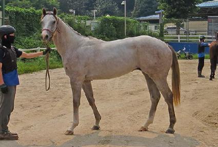 ����è�Ǿ� ����