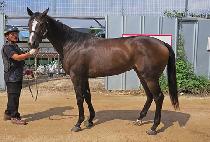 �ٶ������ (BARAMUI HYANGGI) ����