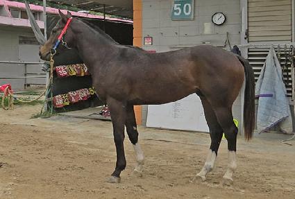 ���ø�Ʈ���� ����