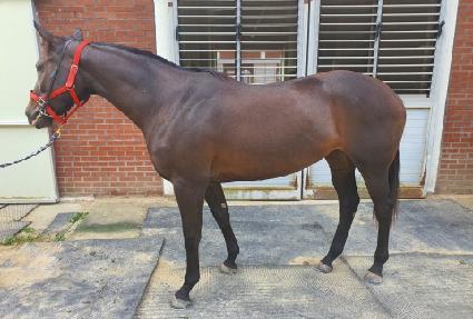 ������� ����