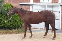 ��Ÿ��ƽ��� (FANTASTIC WOMAN) ����