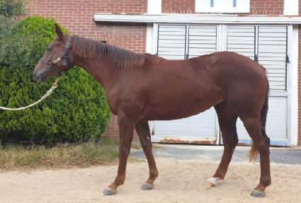 ��Ÿ��ƽ��� ����